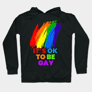 Be Gay Equality LGBTQ Pride Gay Lesbian Hoodie